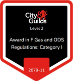 City & Guilds Level 2 Award in F Gas and ODS Regulations: Category I (2079-11)